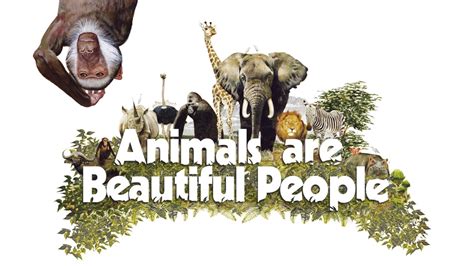 Yesmovie animals are beautiful people  Animals are Beautiful People (1974) #WarnerArchive #WarnerBros #AnimalsareBeautifulPeopleProducer-writer-director Jamie Uys, who brought us the uproarious "T