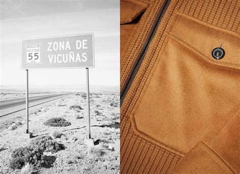 Zegna vicuna wool clothing  $119