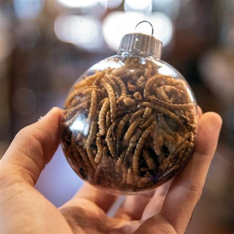 a jar of mind maggots  The closest you can get to the jar is 11