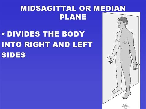 a median plane is also called weegy  midsagittal C