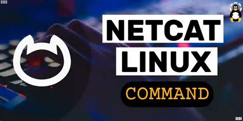 a tech uses the netcat tool on a linux system 1 IP address is used since your system will have its own unique IP address