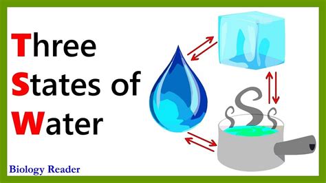 a unique property of water weegy  Updated 27 days ago|10/19/2023 6:11:34 PM