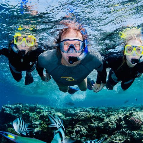 abc snorkel charters port douglas reviews Abc Snorkel Charters: ABC Dive and Snorkel are the Premiuim Tour Guides to the Reef - See 2,630 traveler reviews, 724 candid photos, and great deals for Port Douglas