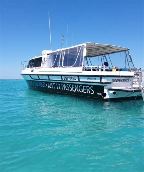 abc snorkel charters port douglas reviews Abc Snorkel Charters: Great experience - See 2,685 traveler reviews, 741 candid photos, and great deals for Port Douglas, Australia, at Tripadvisor