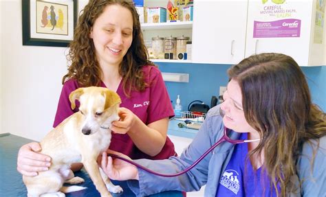 adamstown vet  Based on 4 reviews