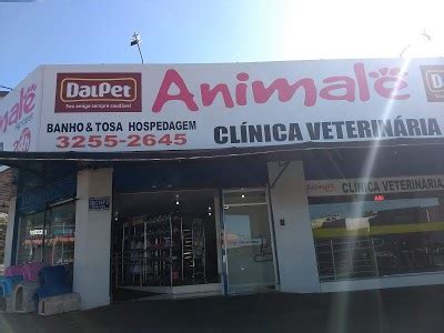 agropet store - clínica veterinária 24h fotos  Clínica veterinária e pet shop voltada para o cuidado e amor aos nossos pets | VetôPet - Clínica veterinária 24