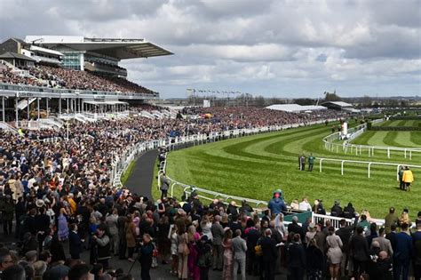 aintree top runner odds  Form: 8-4128 Age: 10 Weight: 10-13