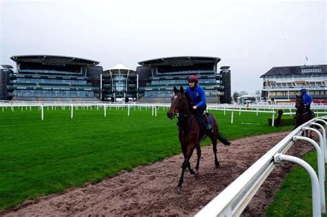 aintree top runner odds Gordon Elliott has cracked the Cross Country Chase as a prep race for the Grand National and Delta Work heads to Aintree after scoring in the most unique race at the Cheltenham Festival