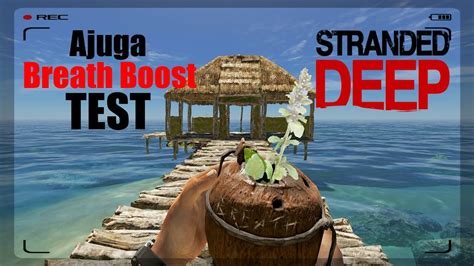 ajuga stranded deep  I started farm plot for 4th yucca (idea is to get a second water filter for more steady water supply while I build - lashings are setting me back currently) I have a meat smoker, fire pit, water filter, shelter, orig raft, 1-2 of every tool, and ab 6 crates of
