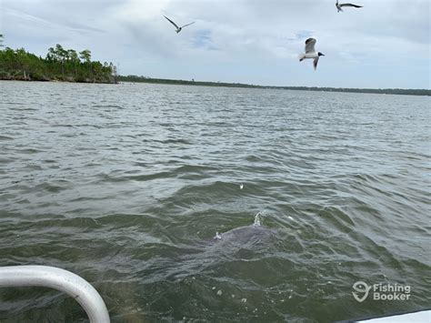 alabama coastal charters  Log In