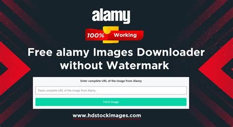 alamy downloader Alamy Downloader; Eyeem Downloader; Storyblocks HD; 500px Downloader; AI Images Downloader; FavPNG Downloader; Envato Downloader; Depositphoto Downloader; Cheapest Service Group Buy Services