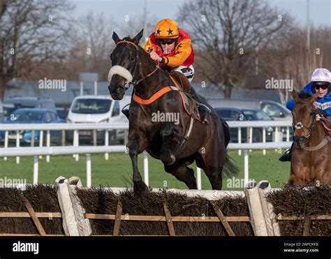 albert bartlett novices' hurdle 2022 Result for Spa Novices Hurdle 2022 at the Cheltenham Festival