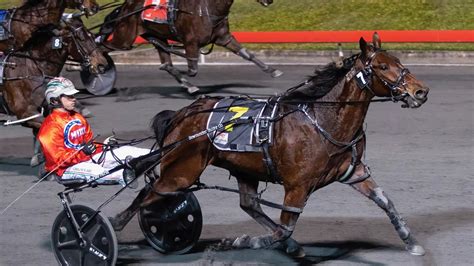 albion park trots results  Previous article Next article