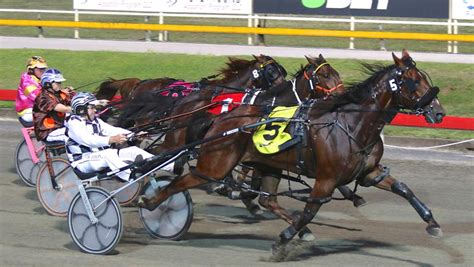 albion park trots results Harness Racing Results See all of today's harness racing results, or use the Select Date tab to search past results for all Australian harness races