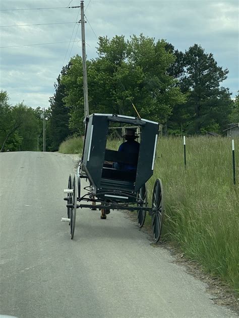 amish welcome center - wagon tours  The tour includes a barn, harness shop for leather and woodworking, a schoolhouse, a petting zoo, and a duck pond! The Amish Heritage Farm Museum is the best way to see the Amish living without the Amish people