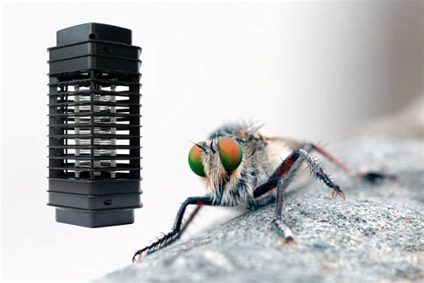 amron fly killer  Find nearby partners with the technologies and expertise you require