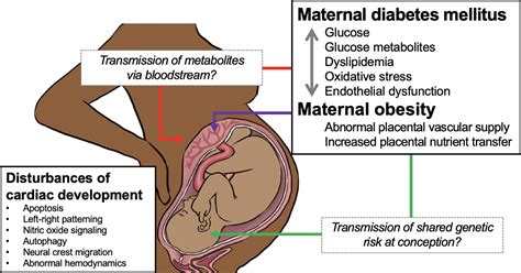 an example of a congenital disease is weegy  Example of a congenital disease is: cystic fibrosis