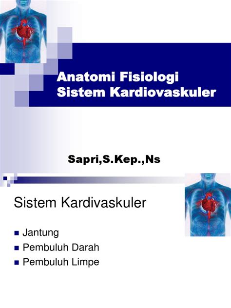 anatomi fisiologi hipertensi  ASUHAN KEBIDANAN PADA IBU HAMIL G5P4A0H4 USIA KEHAMILAN 36-37 MINGGU DENGAN HIPERTENSI GESTASIONAL DI POLI KEBIDANAN RSUP DR