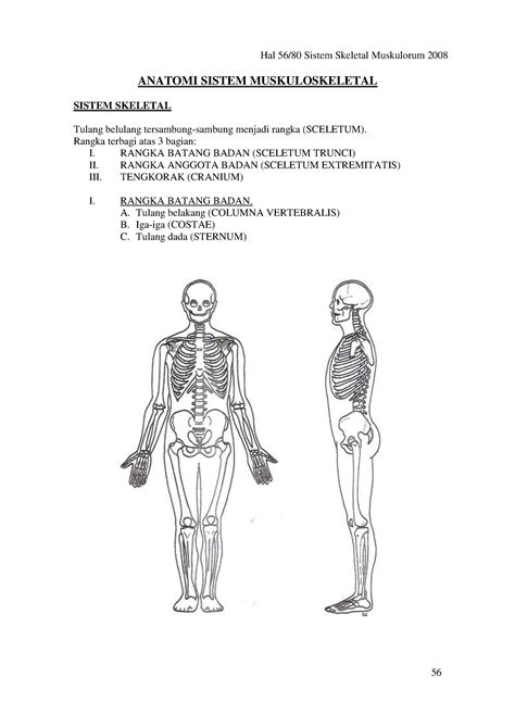 anatomi fisiologi muskuloskeletal  Jelaskan Fungsi Artikulasio /sendi 1