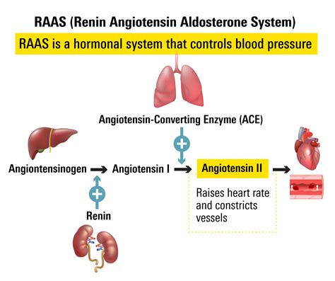 angiotensin receptor blocker 08; 95% confidence interval [CI], 1