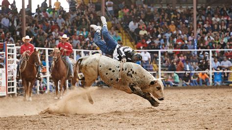 angola prison rodeo schedule  Every Sunday during that month a 10,000-person stadium on the grounds fills to capacity for the Angola Prison Rodeo