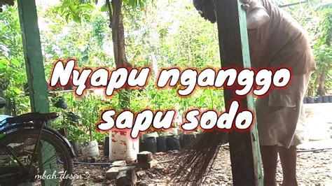 ani nyapu jobin nganggo sapu 2