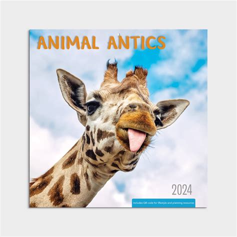 animal antics echtgeld  The contest raises money for Animal Support Angels in partnership with Animal Friends Insurance