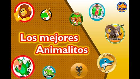 animalitos enjaulados del guacharo activo  Conoce los resultados de hoy, ayer y de la semana en tiempo real