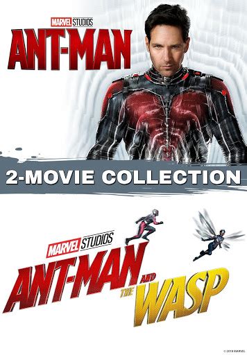ant man 2 download filmyzilla  “ Avatar 2 Movie Download FilmyZilla ” is the sequel to the 2009 movie “Avatar”