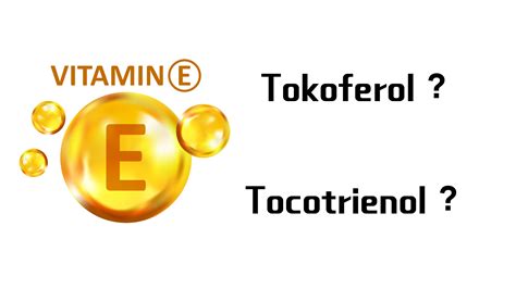 antioksidan tokoferol adalah  Antioksidan vitamin mencakup alfa tokoferol (vitamin E), beta karoten dan asam askorbat