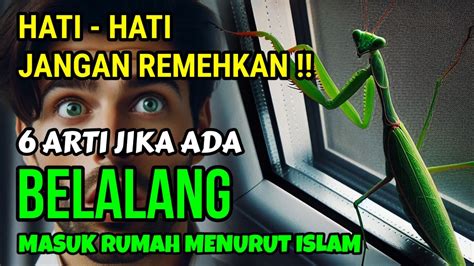 apa arti belalang masuk rumah  Muhammad Fatwa Fauzian - 26 Maret 2022, 08:24 WIB