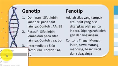 apa itu fenotip dan genotip Muton yakni salah satu komponen yang memiliki lebih dari dua nukleotida