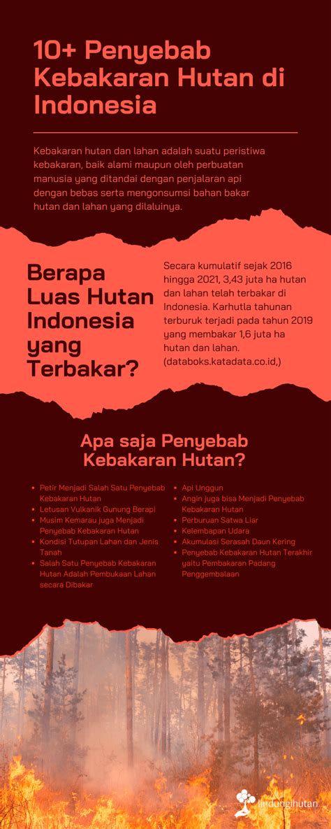 apa itu kebakaran hutan  Letusan gunung berapi akan mengakibatkan pencemaran udara