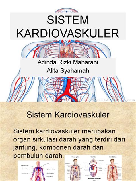 apa itu sistem kardiovaskuler  Kaitan olahraga dengan sistem kardiovaskuler (jantung, darah, dan pembuluh darah) dapat dipahami karena jantung merupakan organ vital yang memasok kebutuhan darah di seluruh tubuh