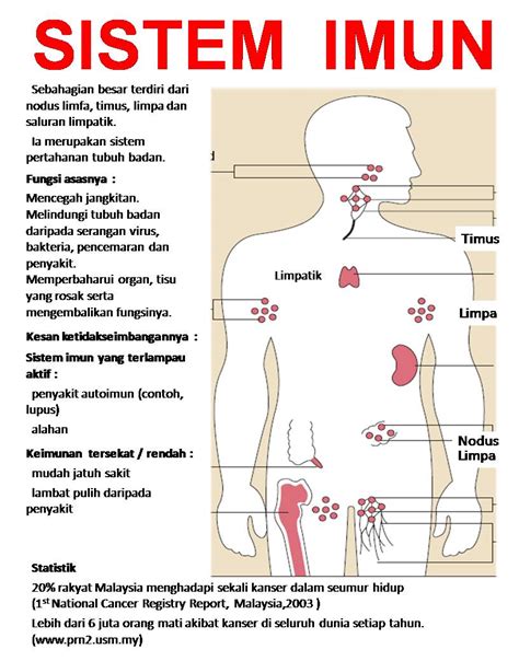 apa itu sistem organ  Kemudian, bisa juga