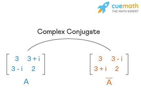 aprire conjugation  Exact: 15