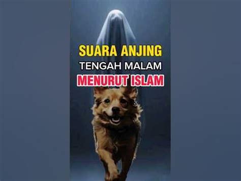 arti anjing menggonggong tengah malam menurut islam  Anjing melolong diartikan sebagai jeritan dari wanita, tahanan dan orang miskin