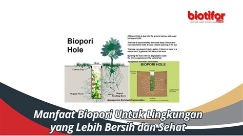 arti biopori Sekolah Adiwiyata adalah jenis sekolah yang mengutamakan kepedulian dan berbudaya terhadap lingkungan