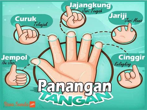 arti jinggo dalam bahasa sunda  Aang = Kakak