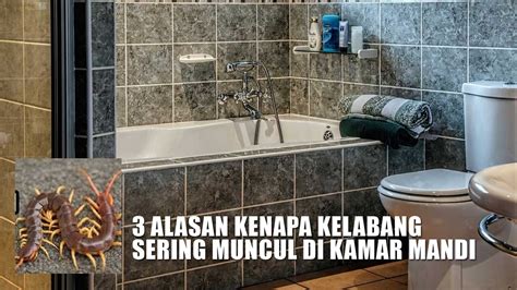 arti melihat kelabang di kamar mandi <b>1</b>