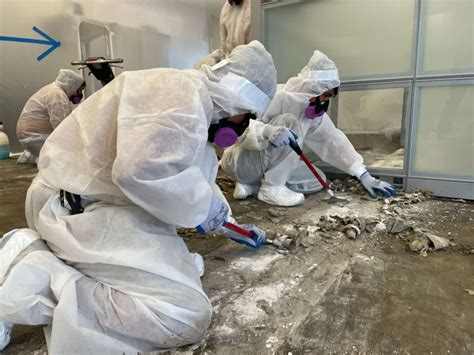 asbestos removal rockingham Handling any goods and materials containing