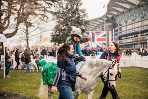 ascot chase raceday  Horse Racing