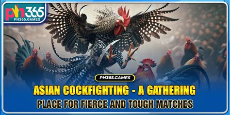 asiancockfighting  Honduras allows both bullfighting shows and cockfights, while these are also considered a part of national folklore