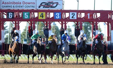 assiniboia downs cancelled 10, $13