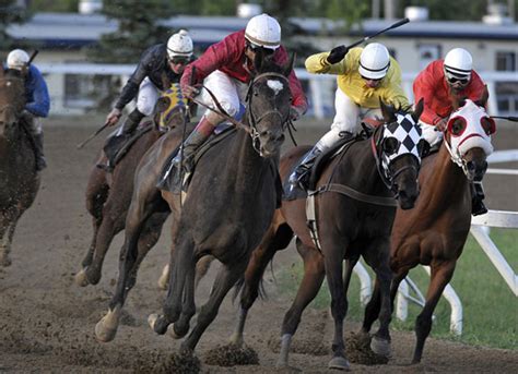 assiniboia downs entries Assiniboia Downs Entries & Results for Tuesday, July 25, 2023