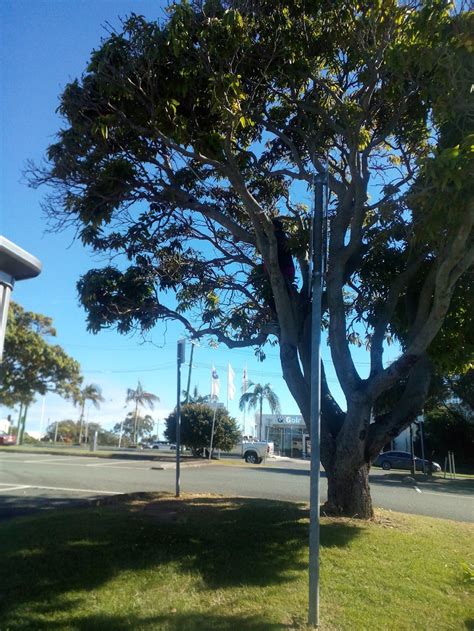 athol paterson car park  Categories Hospital 