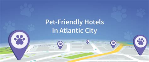 atlantic city pet friendly hotel 441