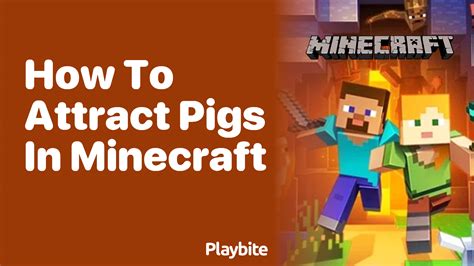 attract pigs minecraft  For articles on other pig-like creatures, see Pigs (Disambiguation)