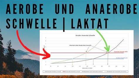 aufprallkraft rätsel  Alle Kissen "messen" die Aufprallkraft und reagieren dementsprechend unterschiedlich und ändern die