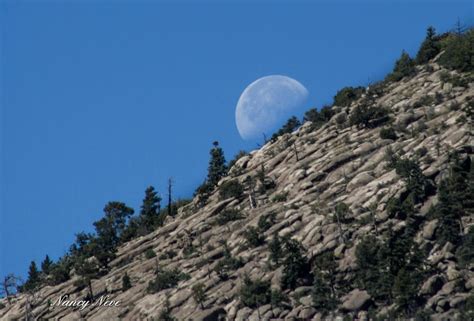 august moon flagstaff  989